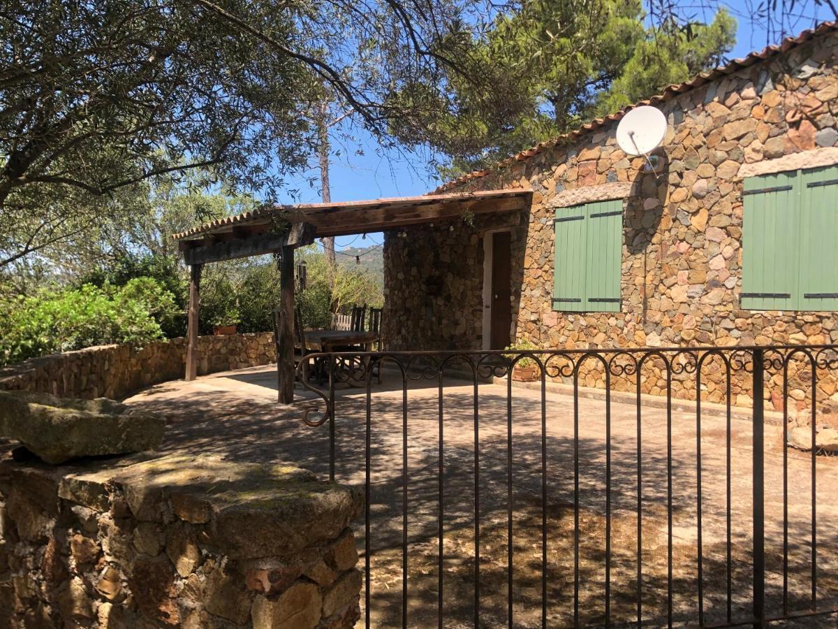 Maison De Campagne Sarragia Exteriör bild