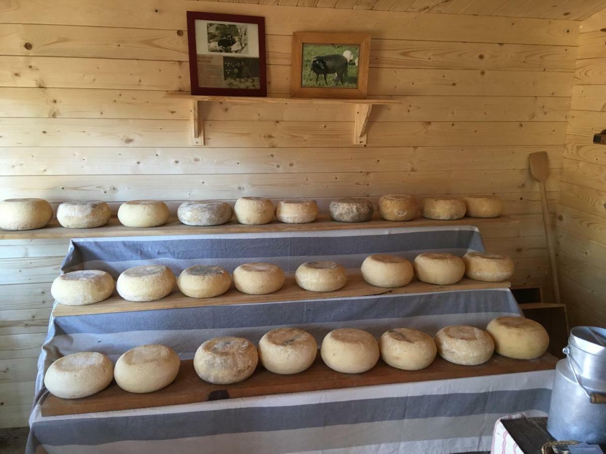 Maison De Campagne Sarragia Exteriör bild